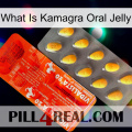 What Is Kamagra Oral Jelly new01